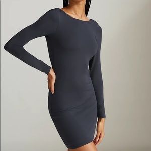 Aritzia Babaton Contour Dress